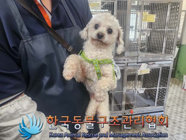 한국동물구조관리협회_441559202400516